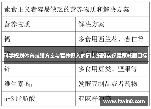 科学规划体育减脂方案与营养摄入的同步策略实现健康减脂目标